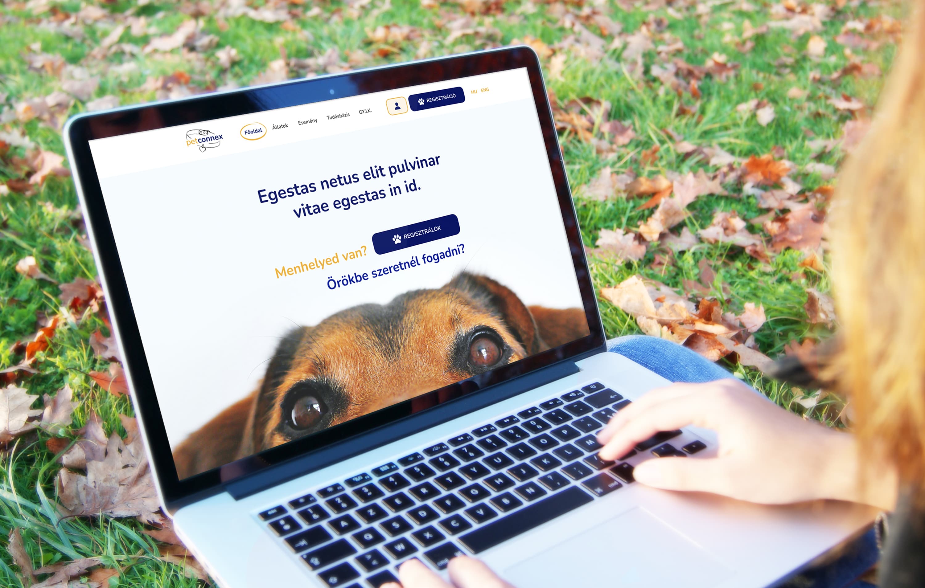 PetConnex