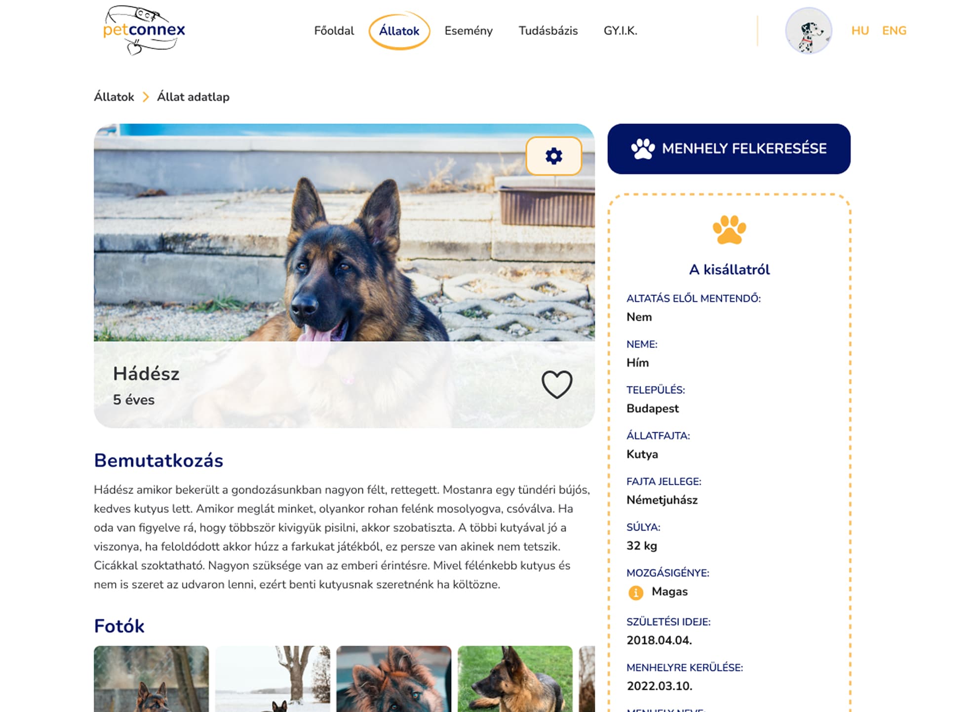 PetConnex — kihívás