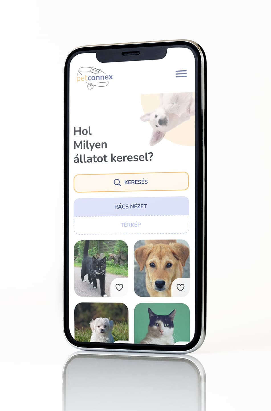 PetConnex — megoldás